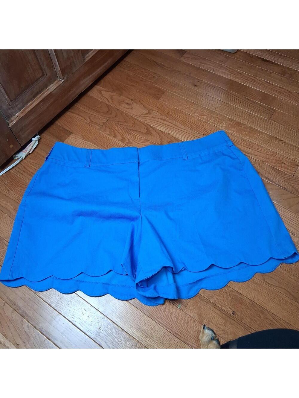 Lane Bryant Allie Shorts Size 24 Scalloped Hem, Cornflower Blue